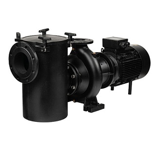 Насос "Aral Plus C-1500", 42 м3/ч, 2,2 кВт, 230/400В, с префильтром, чугунный