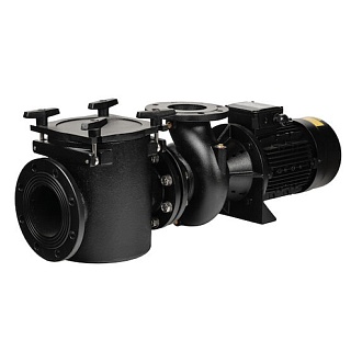 Насос "Aral Plus C-3000", 163 м3/ч, 9,2 кВт, 400/690В, с префильтром, чугунный